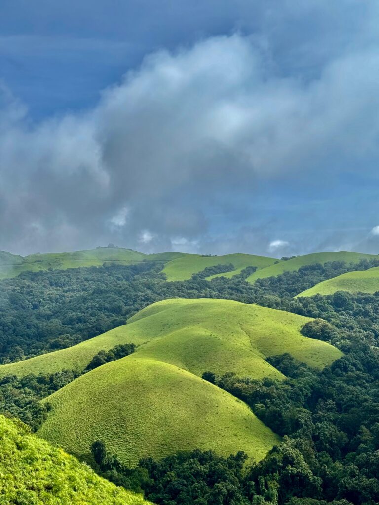 beyondthelimits.bandage beyondthelimits.bandage