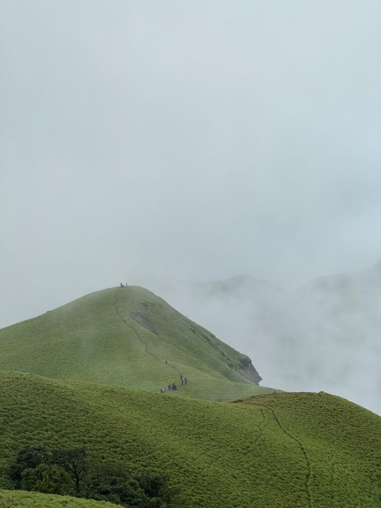 beyondthelimits.bandage trek1 beyondthelimits.bandage trek1