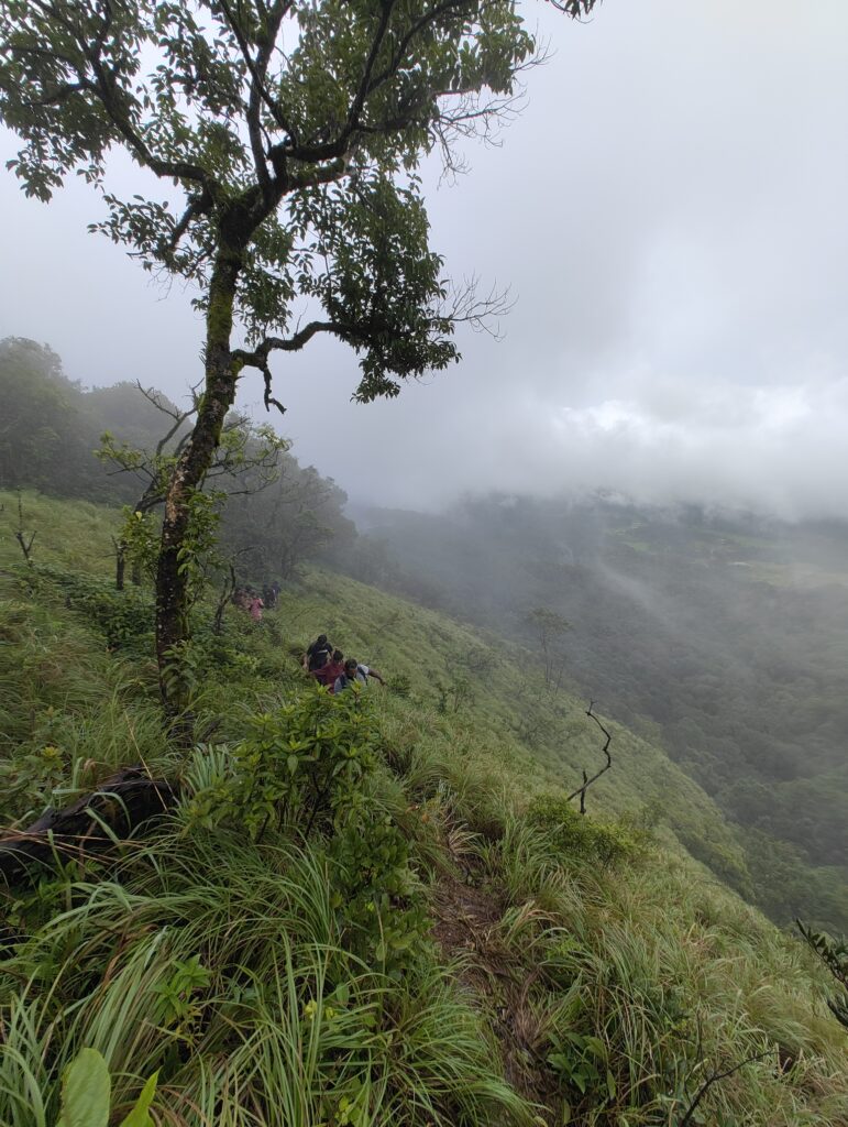 tadiandamol trek5.beyondthelimis