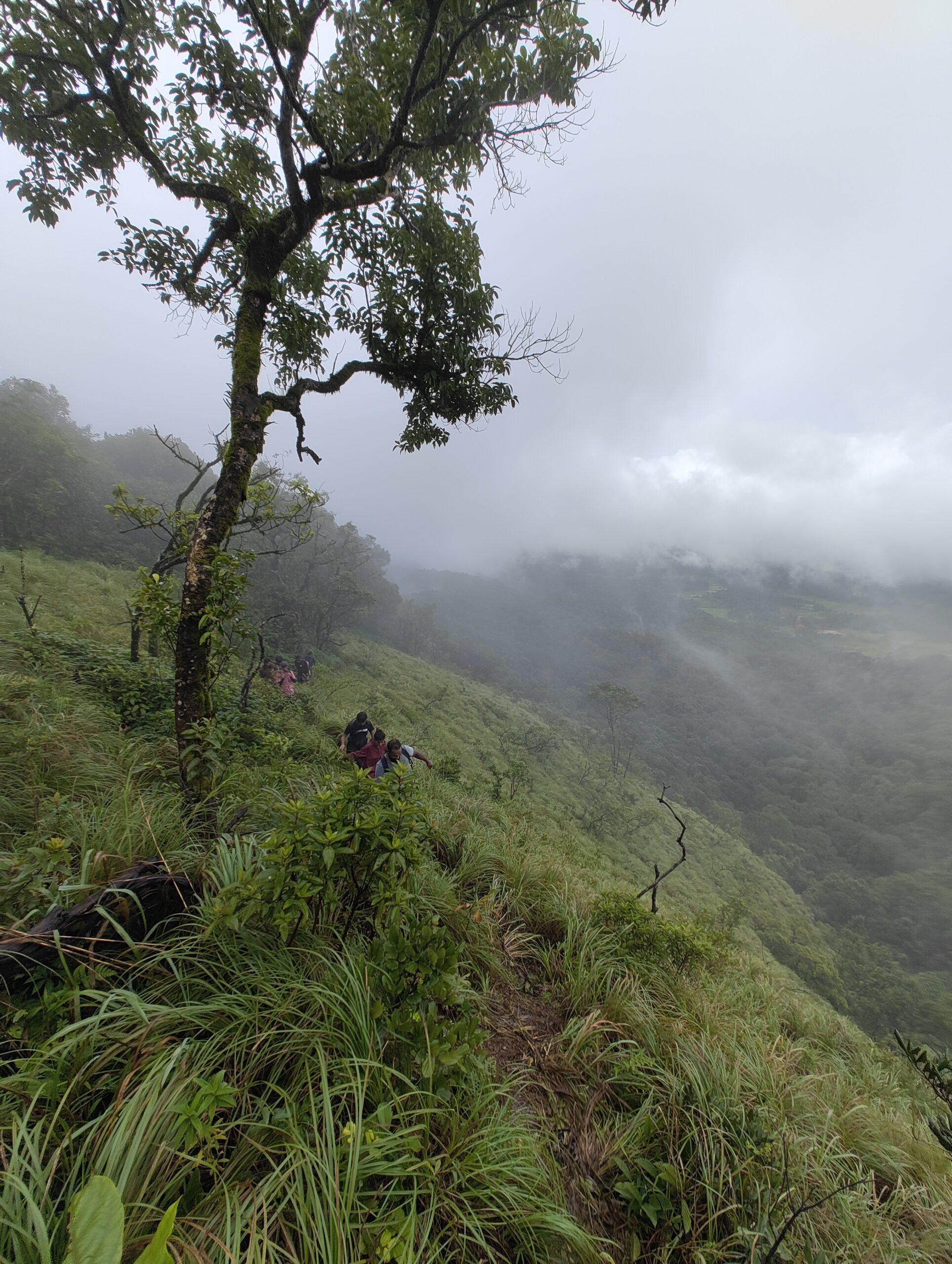 Treks tadiandamol trek5.beyondthelimis