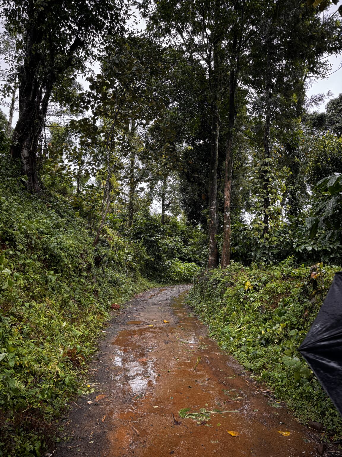 Home tadiandamol1.beyondthelimits