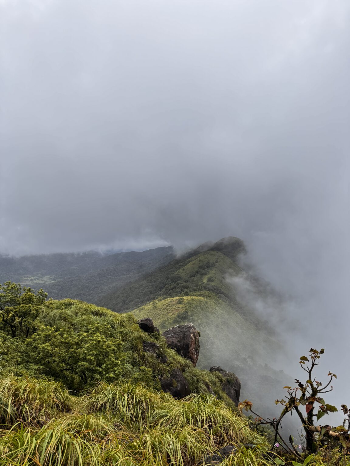 Home tadiandamol2.beyondthelimits